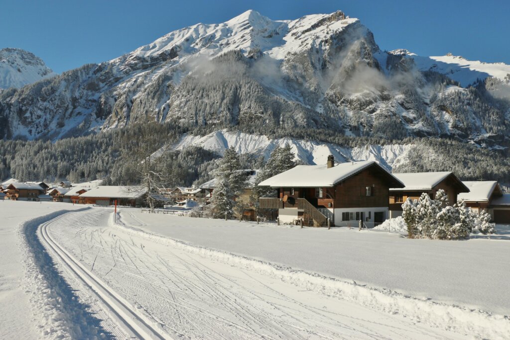 Langlauf Foto Tour 3.1.2025