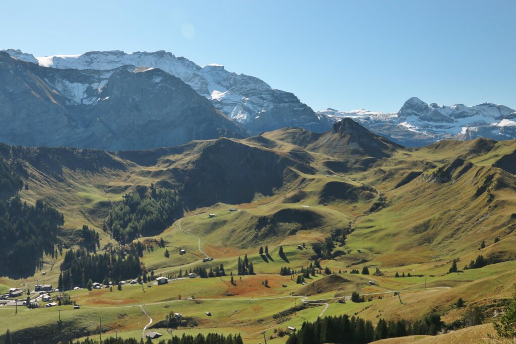 Sillerenbühl-Bütschi-Bergläger 2.10.25