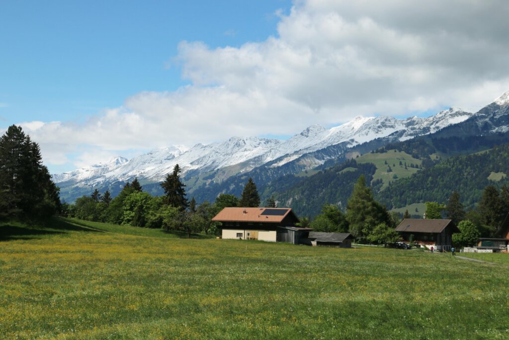 Suldtal bei Aeschi 17.5.2026