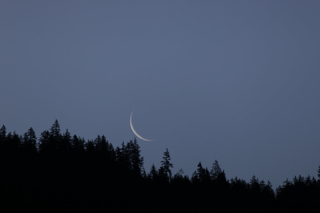 Mond 2026