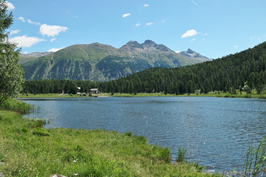 Celerina Lej da Staz - St. Moritz 5.7.26