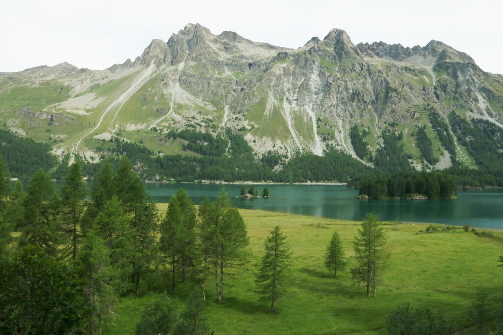 Sils, Isola, Maloja 7.7.26